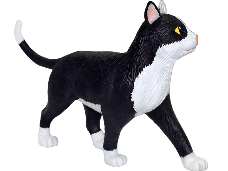 4D Master 622004 Black and White Cat 白黒猫 解剖モデル