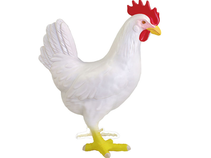4D Master 622003 Chicken 鶏 解剖モデル