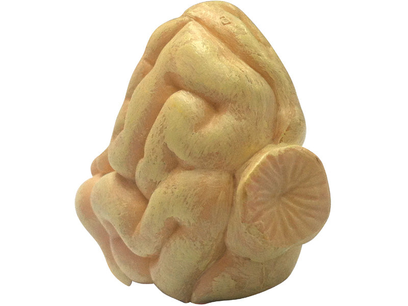 4D Master 622003 Chicken 鶏 解剖モデル