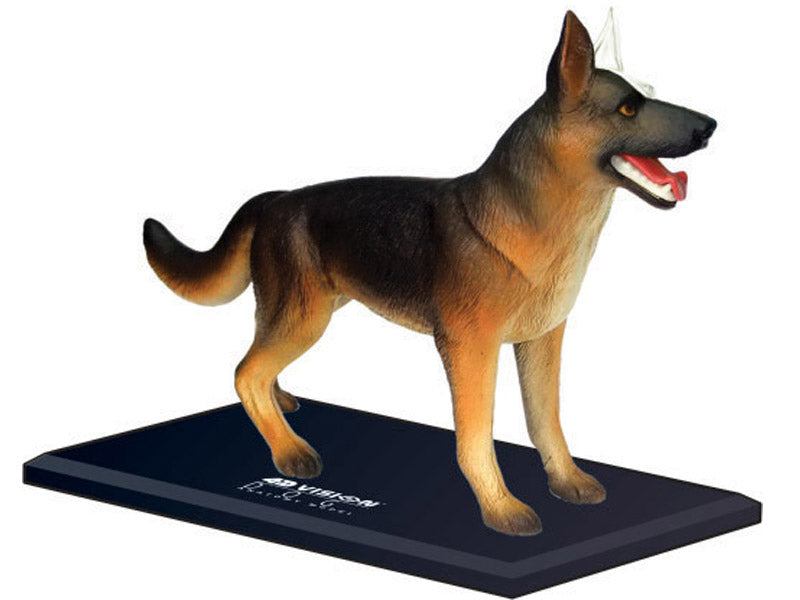 4D Master 622008 German Shepherd 犬(ジャーマンシェパード)解剖モデル