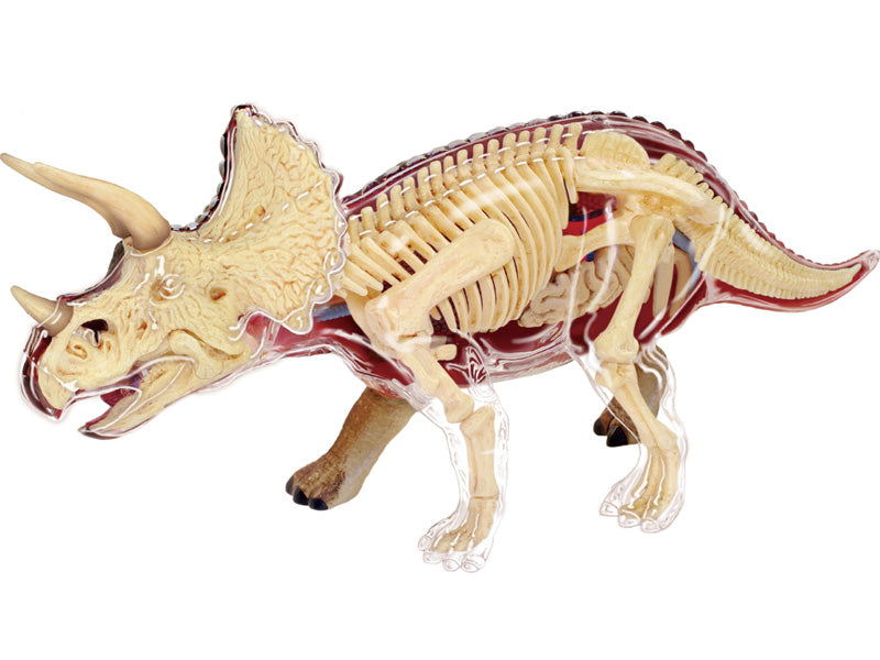 4D Master 622014 Triceratops トリケラトプス 解剖モデル