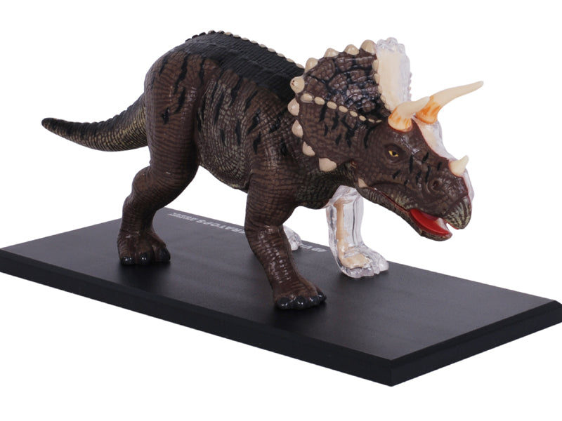 4D Master 622014 Triceratops トリケラトプス 解剖モデル