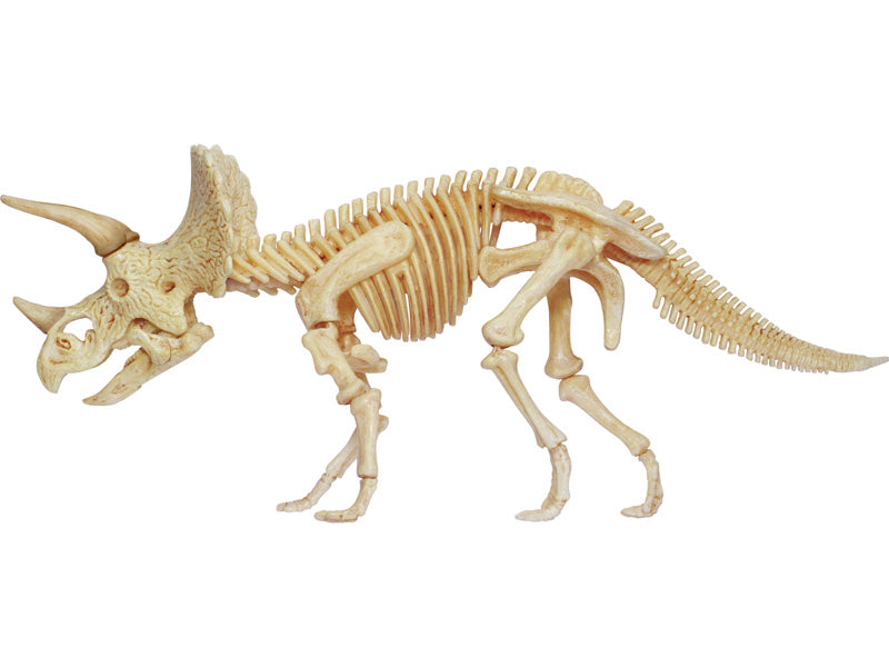 4D Master 622014 Triceratops トリケラトプス 解剖モデル