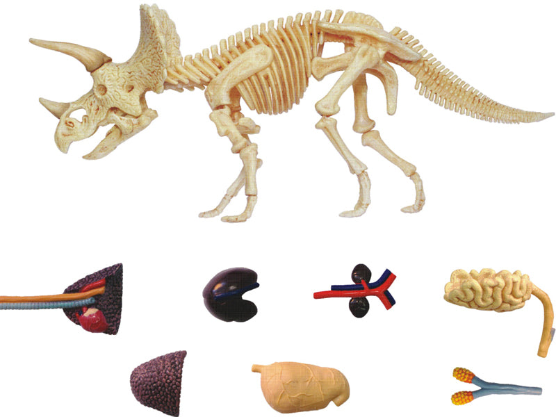 4D Master 622014 Triceratops トリケラトプス 解剖モデル