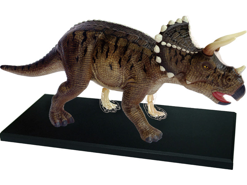 4D Master 622014 Triceratops トリケラトプス 解剖モデル