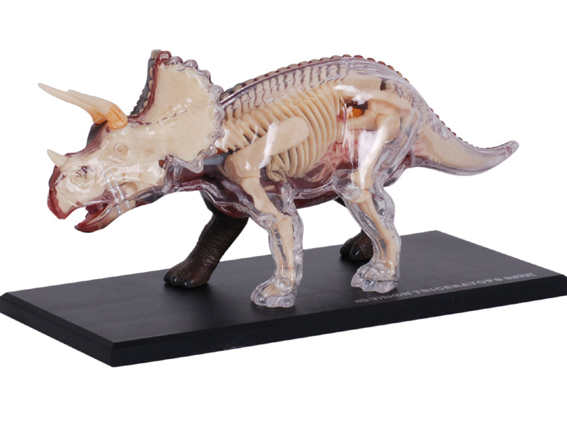 4D Master 622014 Triceratops トリケラトプス 解剖モデル