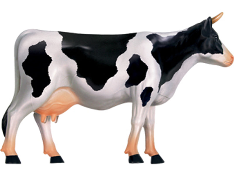 4D Master 622021 Cow 乳牛 解剖モデル