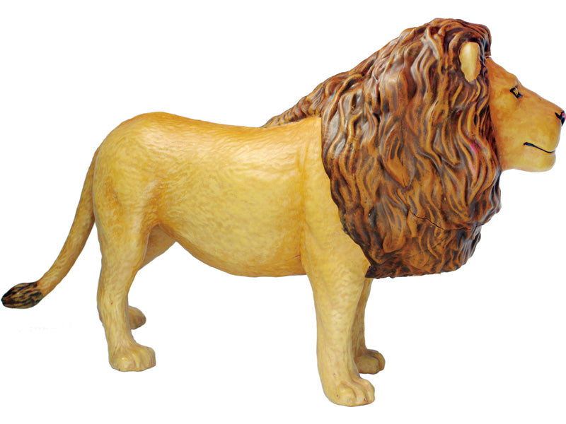4D Master 622036 Lion ライオン 解剖モデル