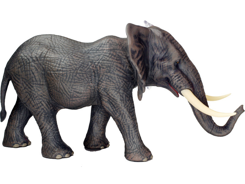 4D Master 622037 Elephant 象 解剖モデル