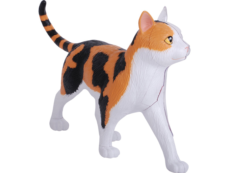 4D Master 622040 Calico Cat 三毛猫 解剖モデル