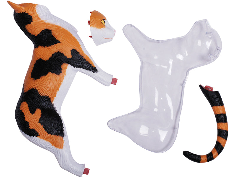 4D Master 622040 Calico Cat 三毛猫 解剖モデル