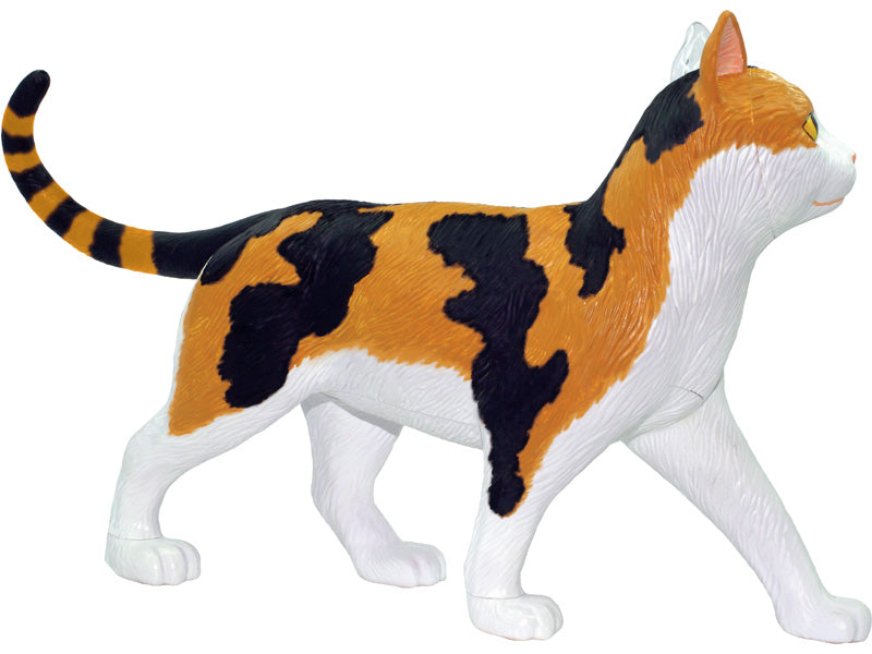 4D Master 622040 Calico Cat 三毛猫 解剖モデル