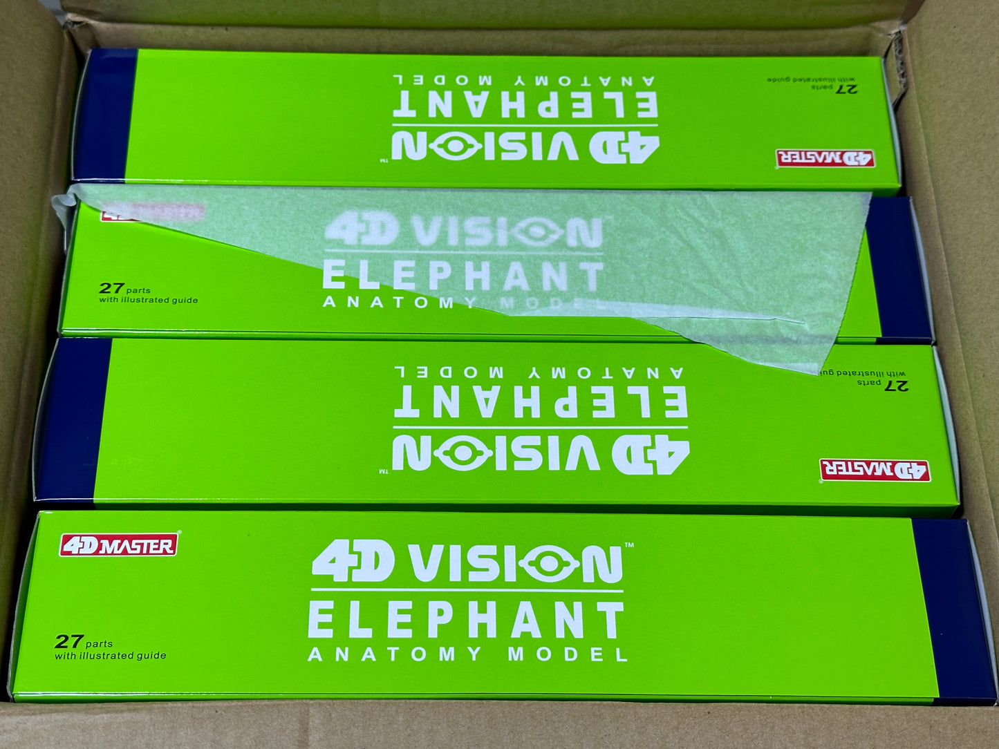 4D Master 622037 Elephant 象 解剖モデル
