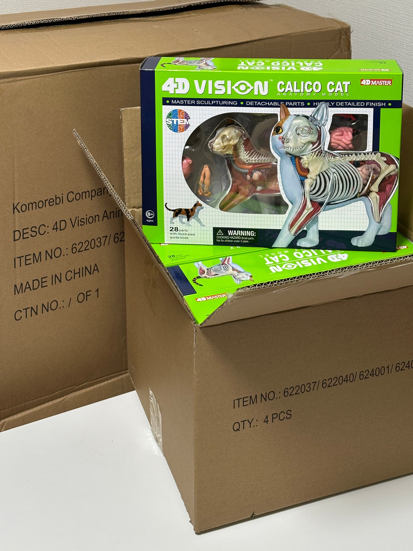 4D Master 622040 Calico Cat 三毛猫 解剖モデル