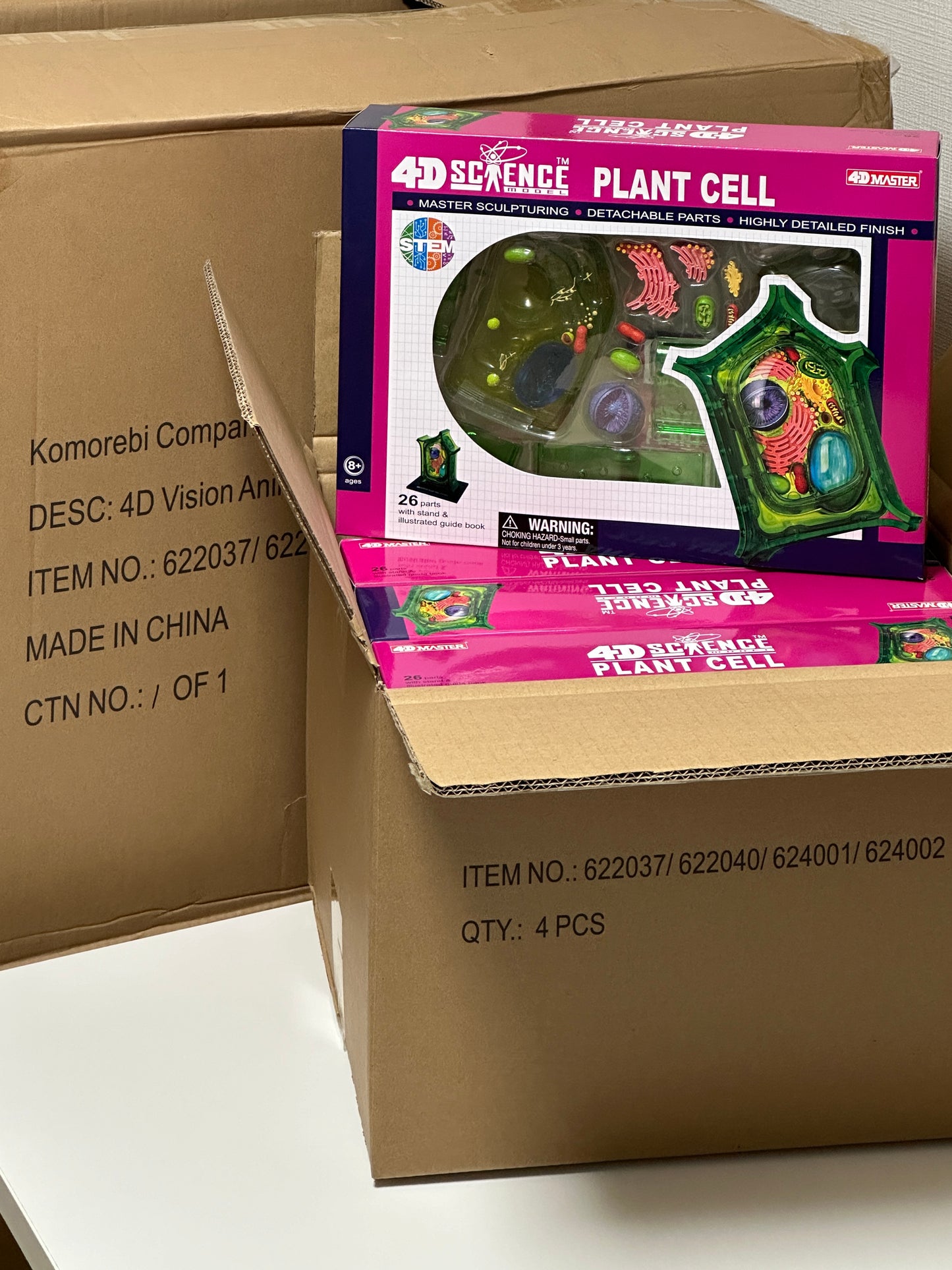 4D Master 624002 Plant Cell 植物細胞モデル