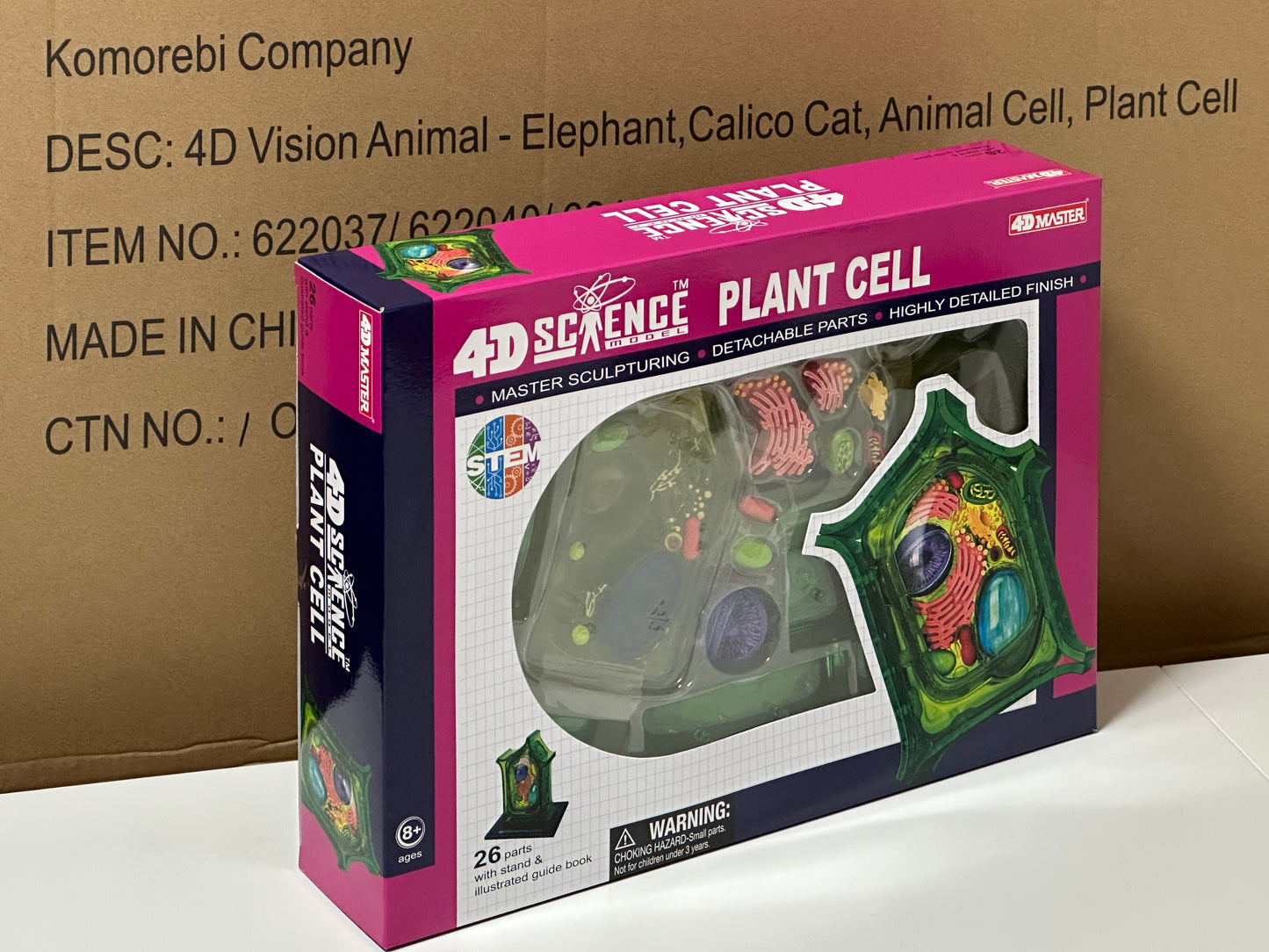 4D Master 624002 Plant Cell 植物細胞モデル