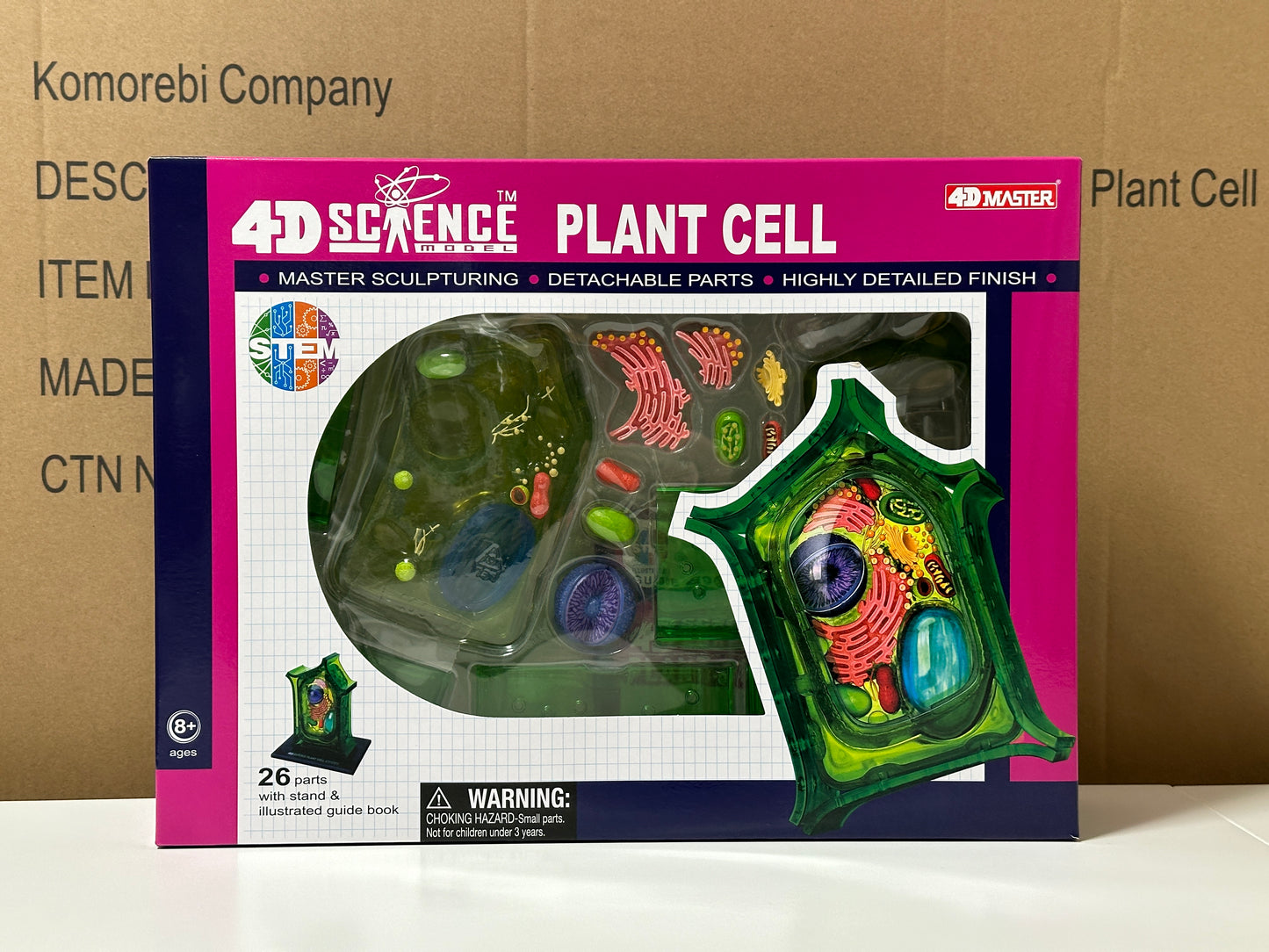 4D Master 624002 Plant Cell 植物細胞モデル