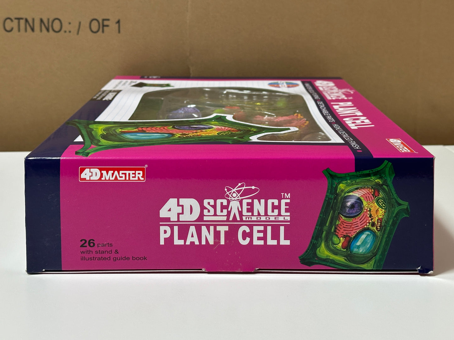 4D Master 624002 Plant Cell 植物細胞モデル