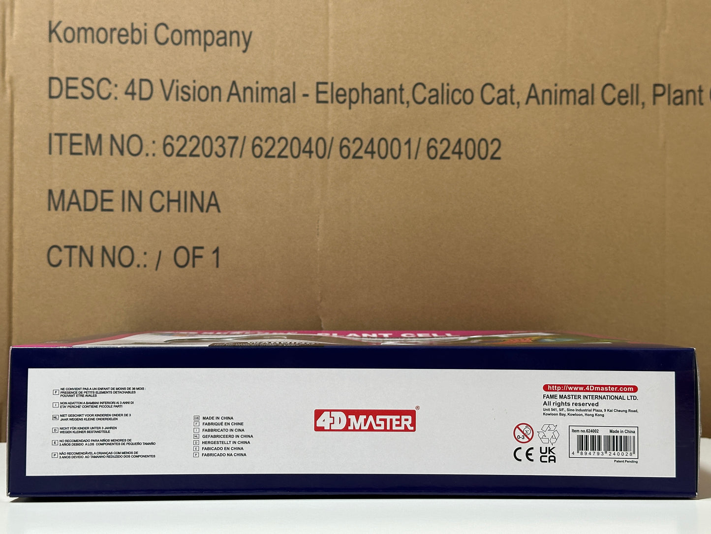 4D Master 624002 Plant Cell 植物細胞モデル