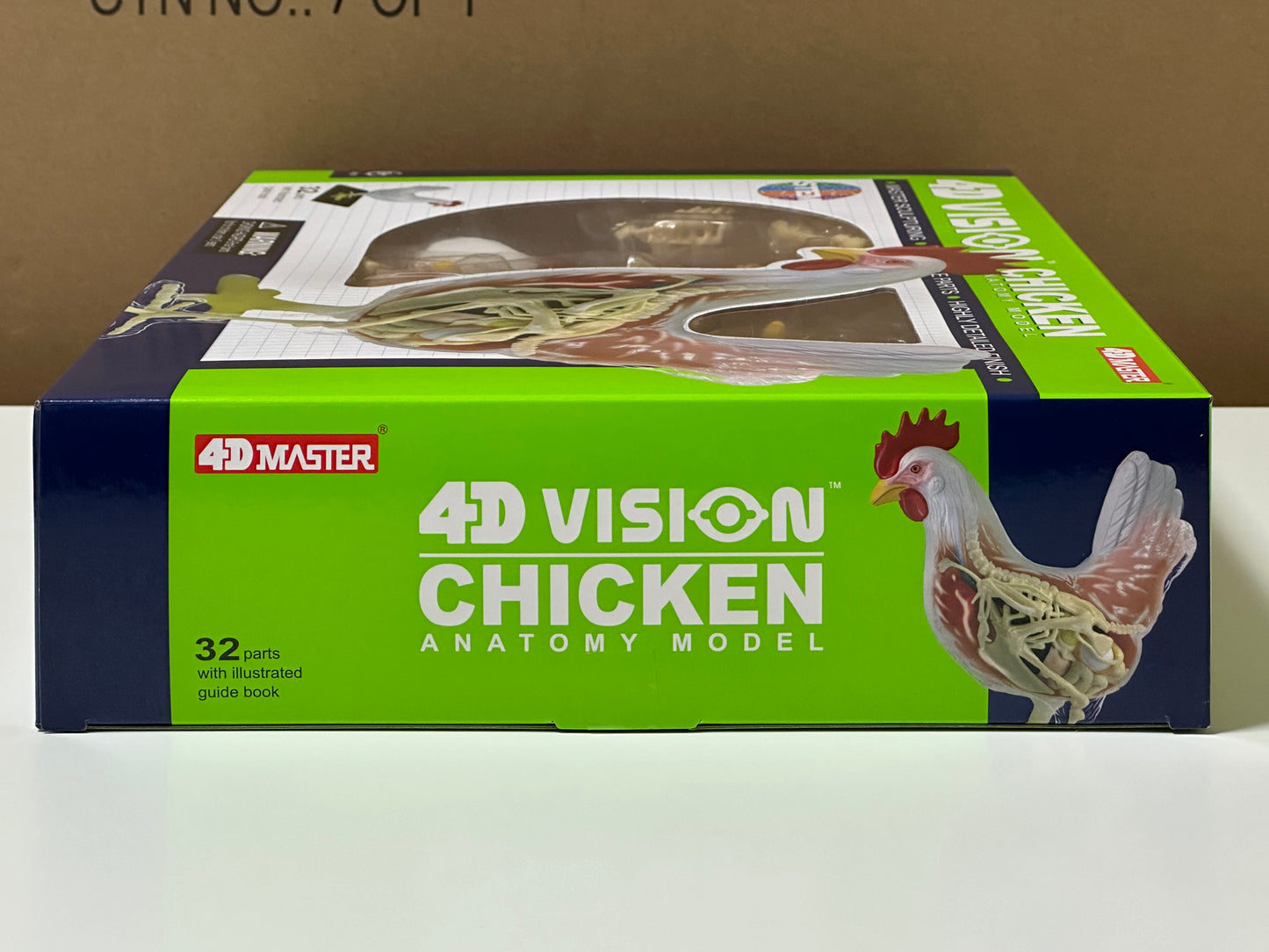 4D Master 622003 Chicken 鶏 解剖モデル