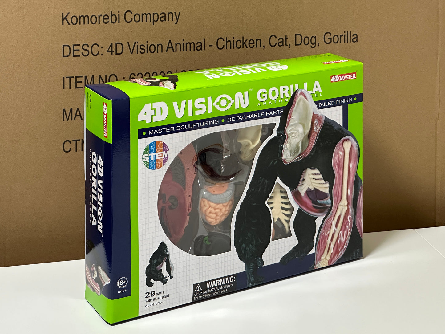 4D Master 622012 Gorilla ゴリラ 解剖モデル