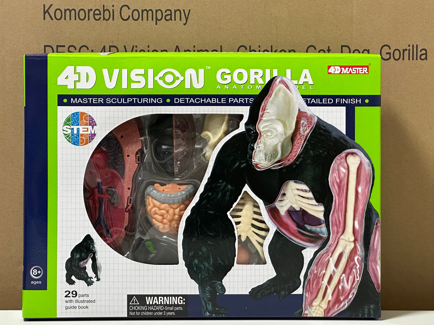 4D Master 622012 Gorilla ゴリラ 解剖モデル