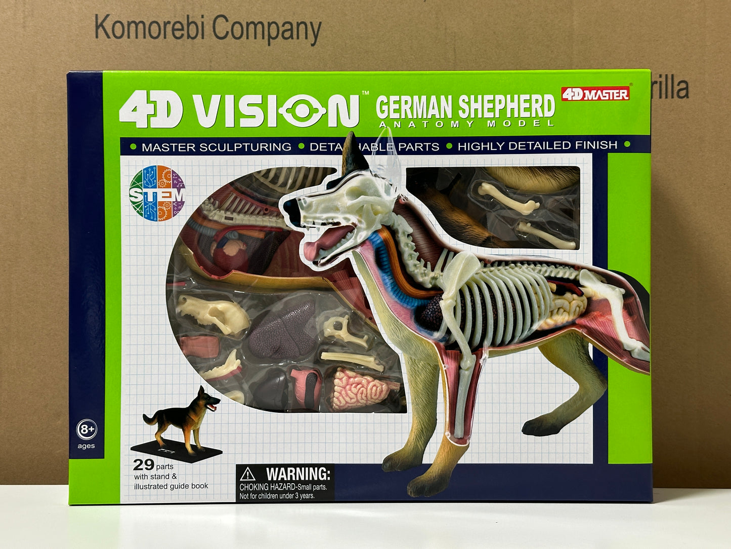4D Master 622008 German Shepherd 犬(ジャーマンシェパード)解剖モデル
