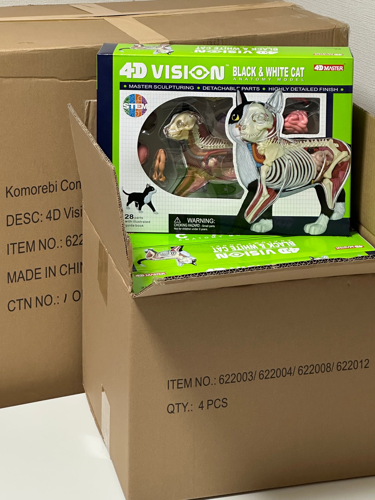 4D Master 622004 Black and White Cat 白黒猫 解剖モデル
