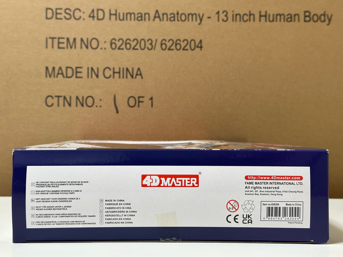 4D Master 626204 Transparent Human Body 13インチ 人体(透明) 解剖モデル 1:6