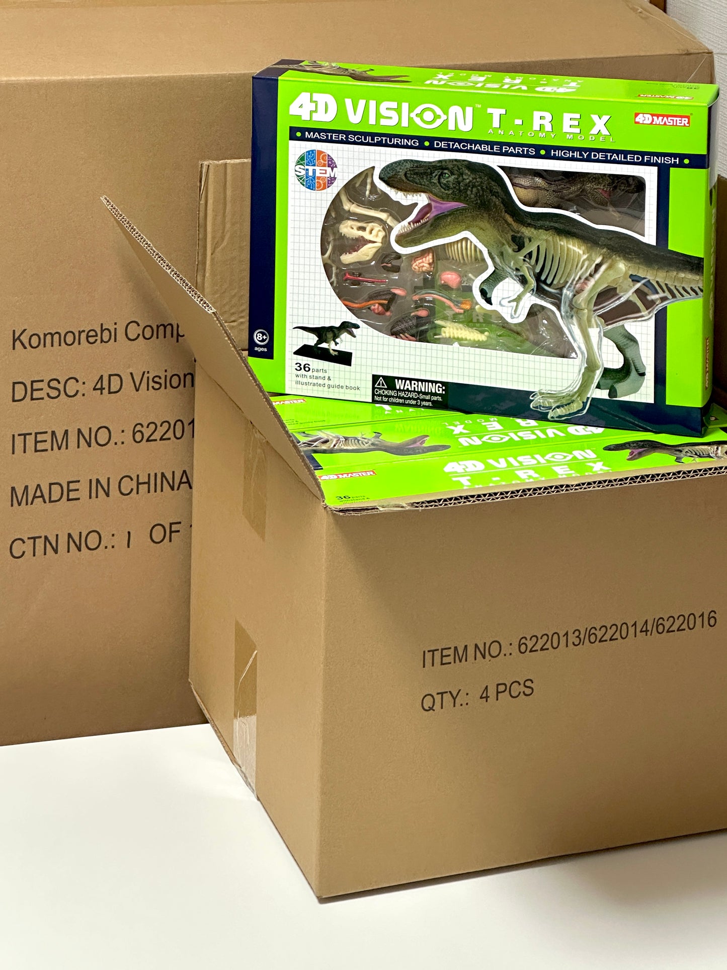4D Master 622013 T-Rex 解剖モデル
