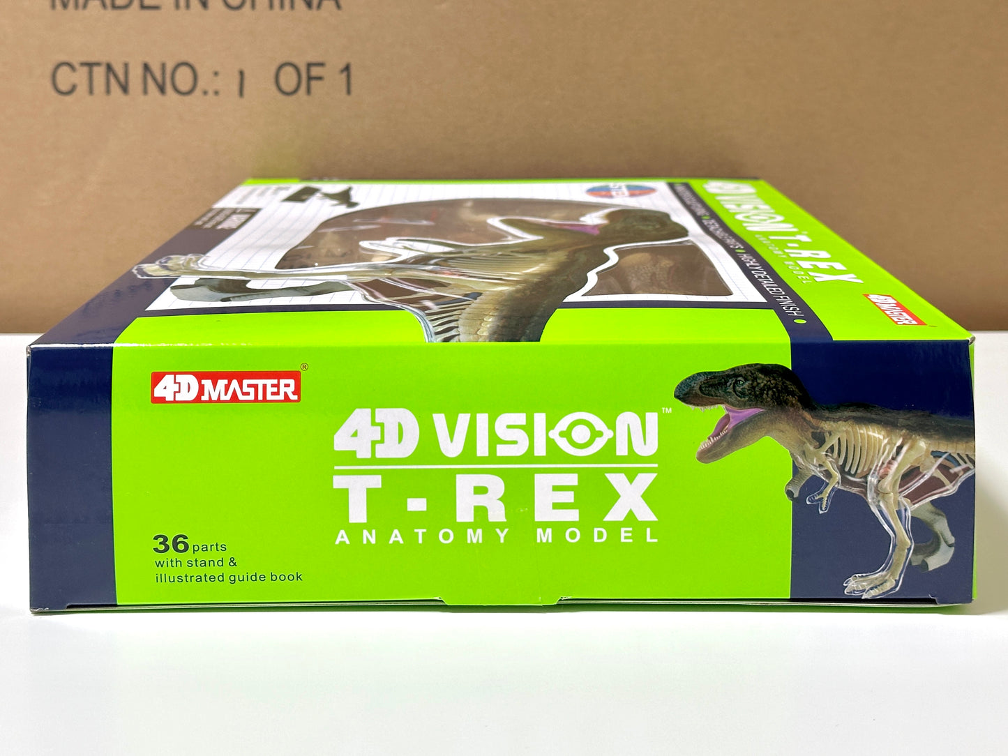 4D Master 622013 T-Rex 解剖モデル