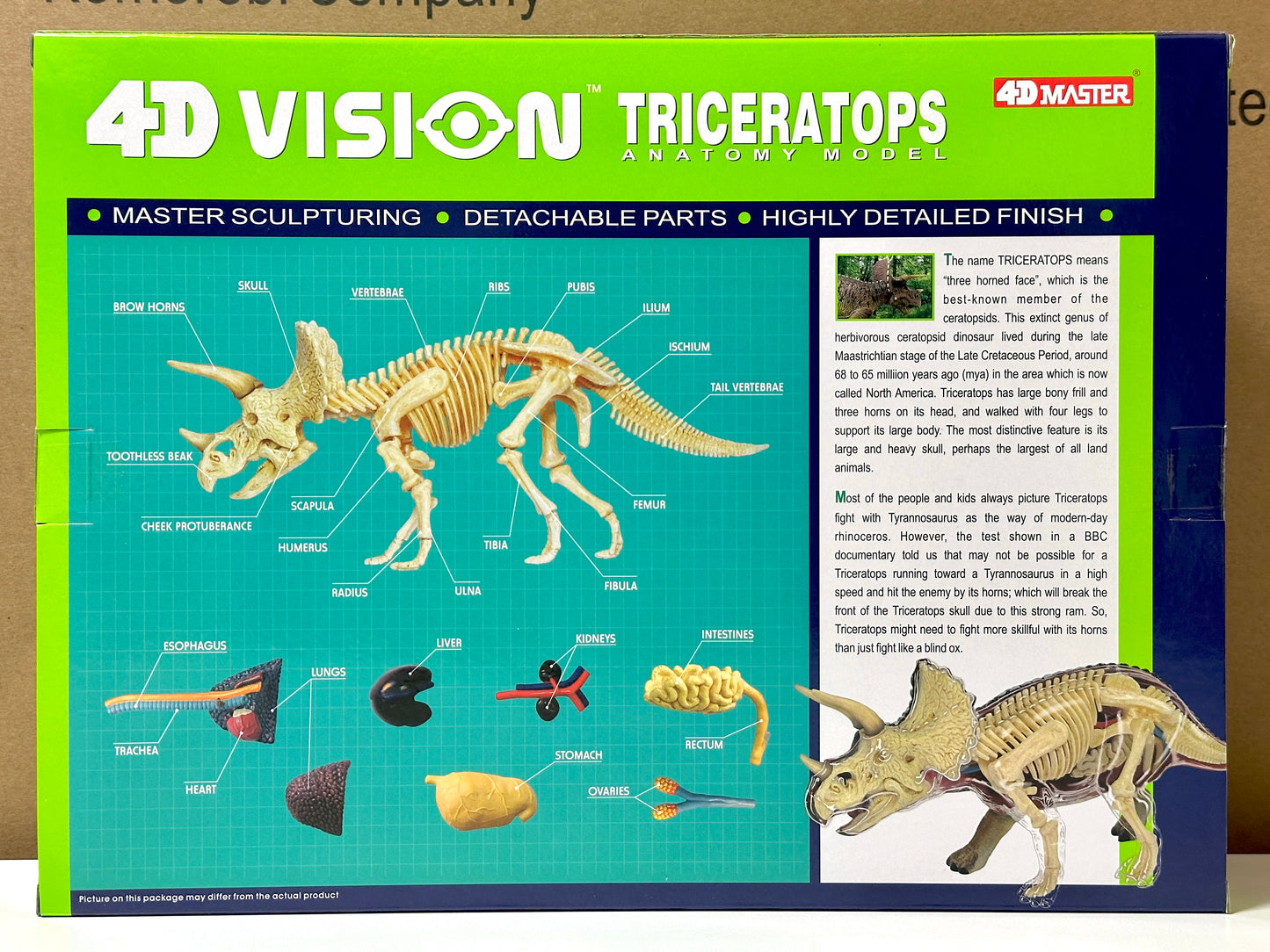 4D Master 622014 Triceratops トリケラトプス 解剖モデル