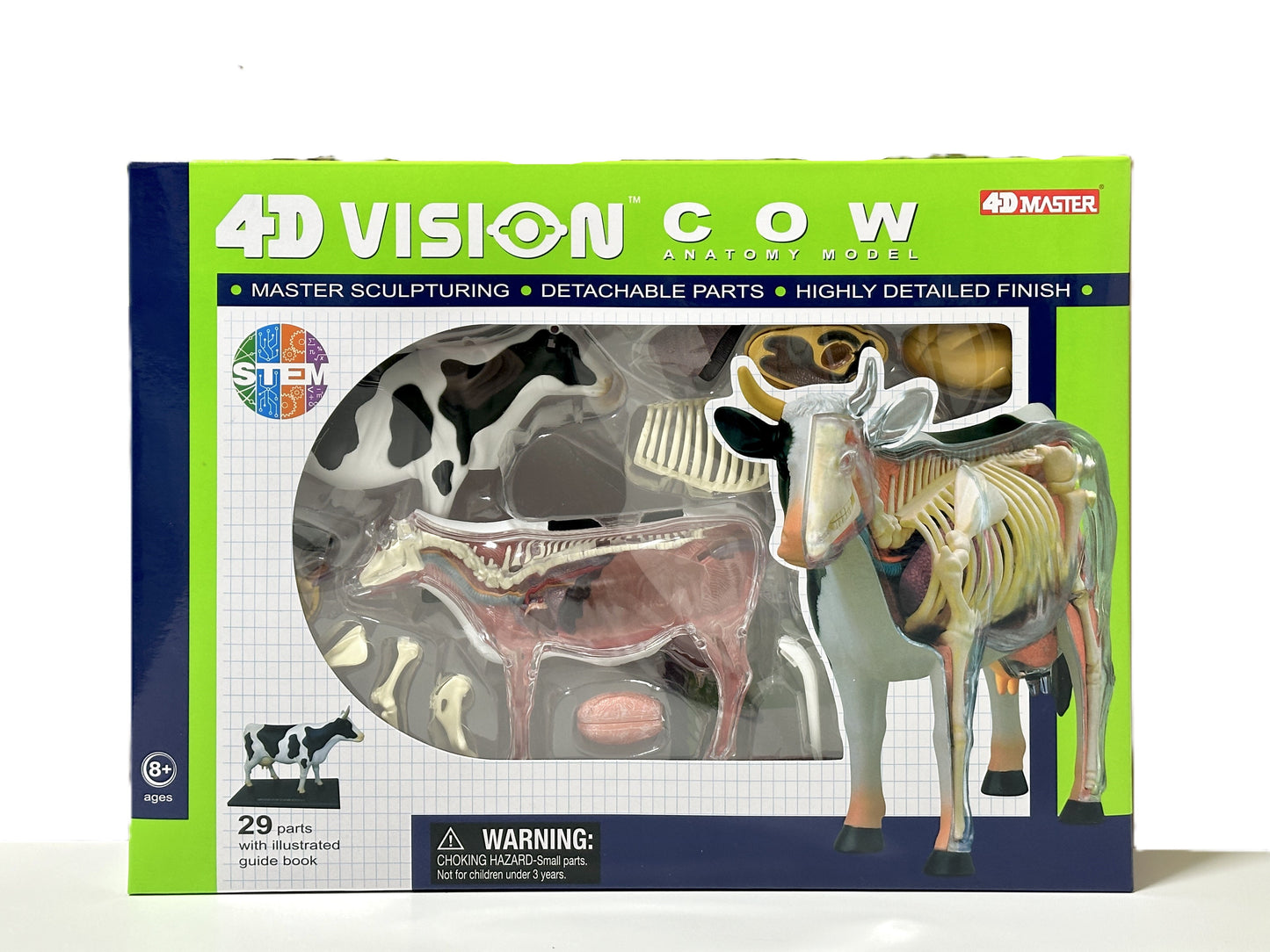 4D Master 622021 Cow 乳牛 解剖モデル