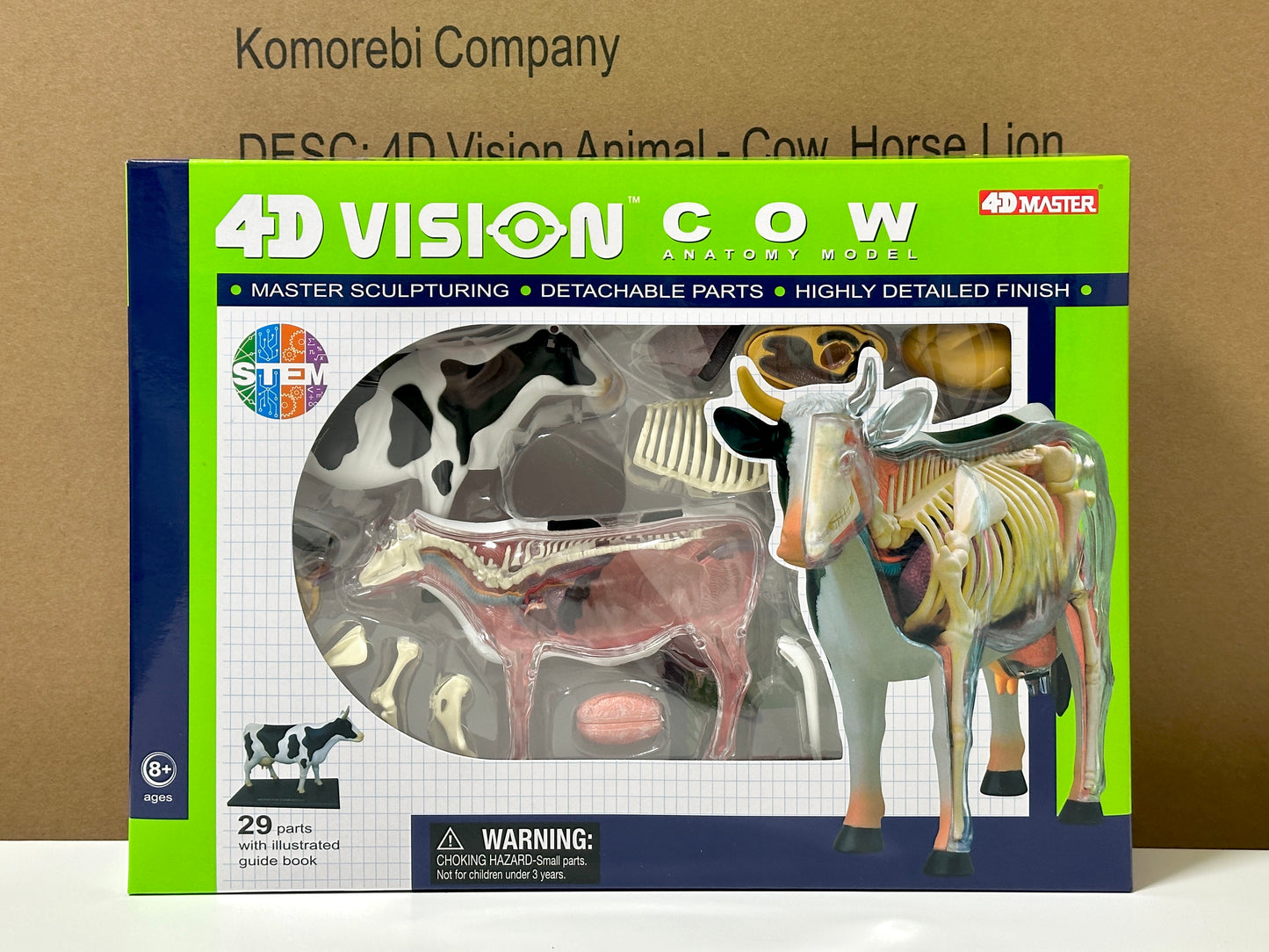 4D Master 622021 Cow 乳牛 解剖モデル