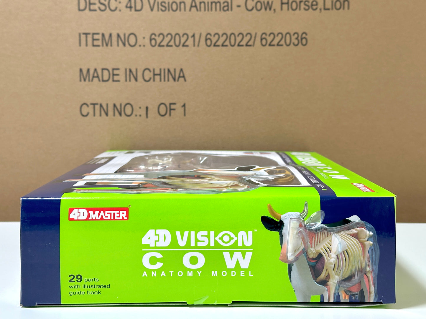 4D Master 622021 Cow 乳牛 解剖モデル