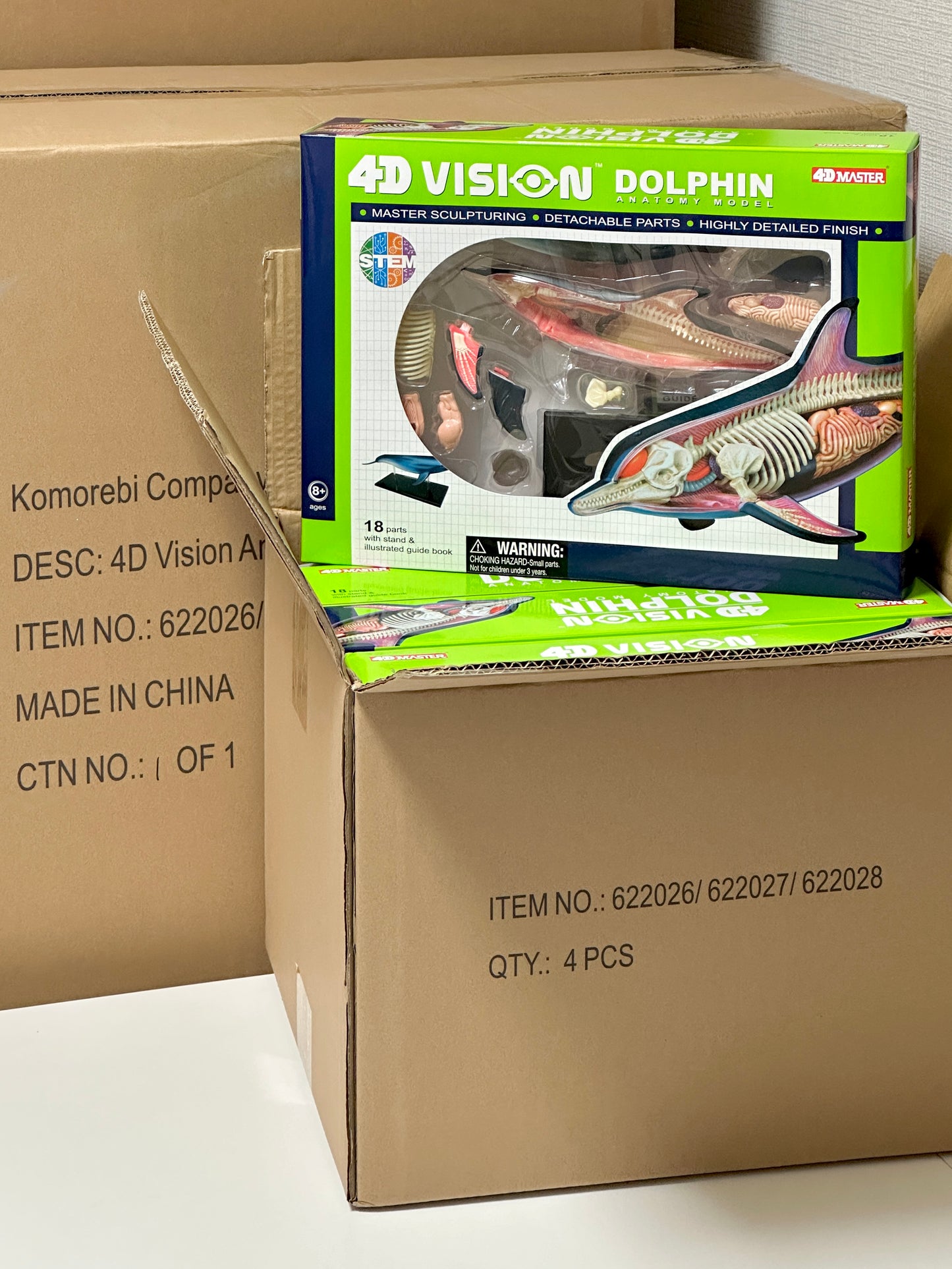 4D Master 622027 Dolphin イルカ解剖モデル