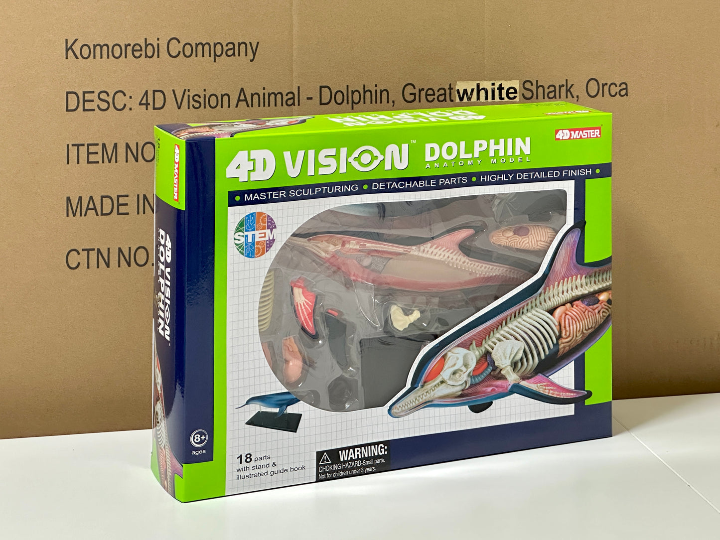 4D Master 622027 Dolphin イルカ解剖モデル