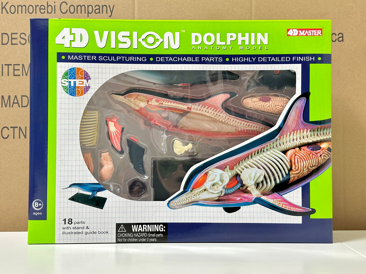 4D Master 622027 Dolphin イルカ解剖モデル