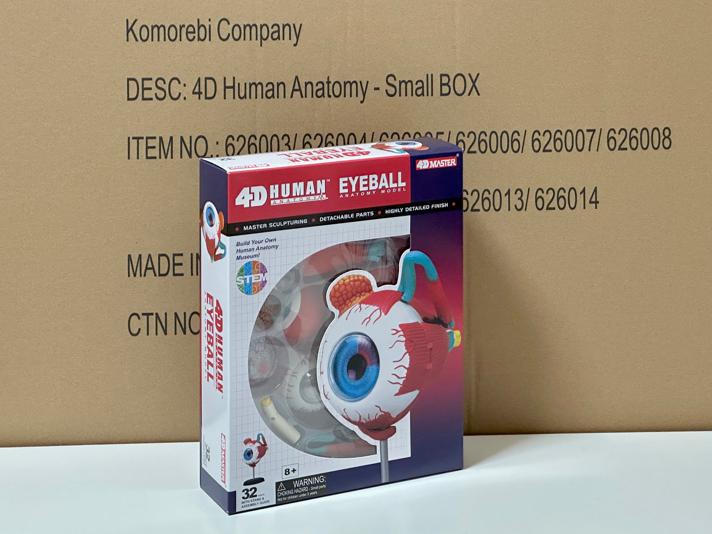 4D Master 626006 Eyeball 眼球 人体解剖モデル 1:4