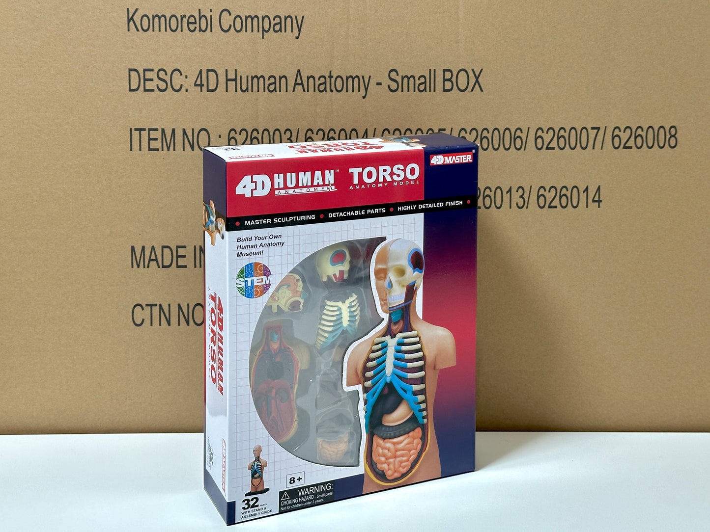 4D Master 626003 Torso 人体胴体 解剖モデル 1:8