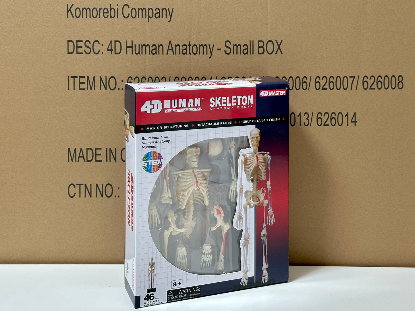 4D Master 626011 Skeleton 人間の骨格 人体解剖モデル 1:8