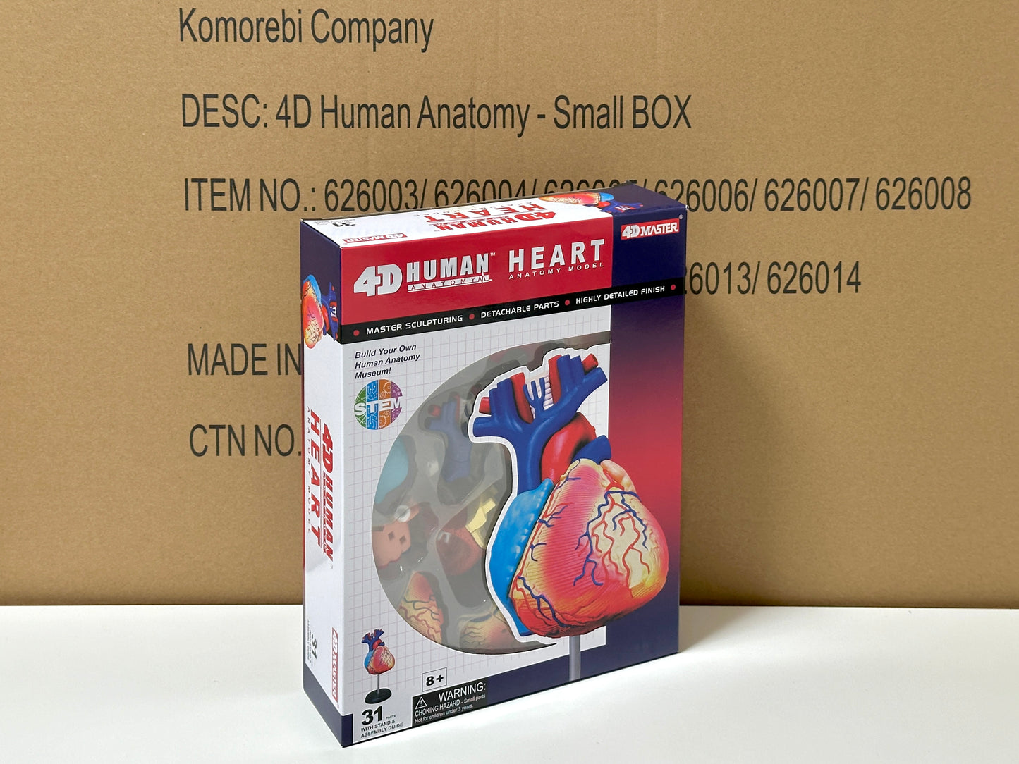 4D Master 626004 Heart 心臓 人体解剖モデル 1:1.6