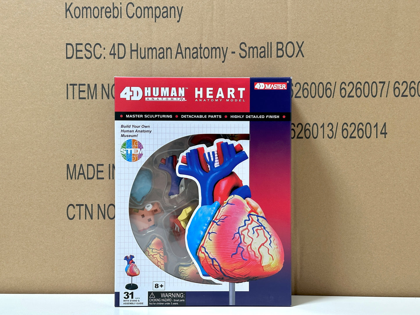 4D Master 626004 Heart 心臓 人体解剖モデル 1:1.6