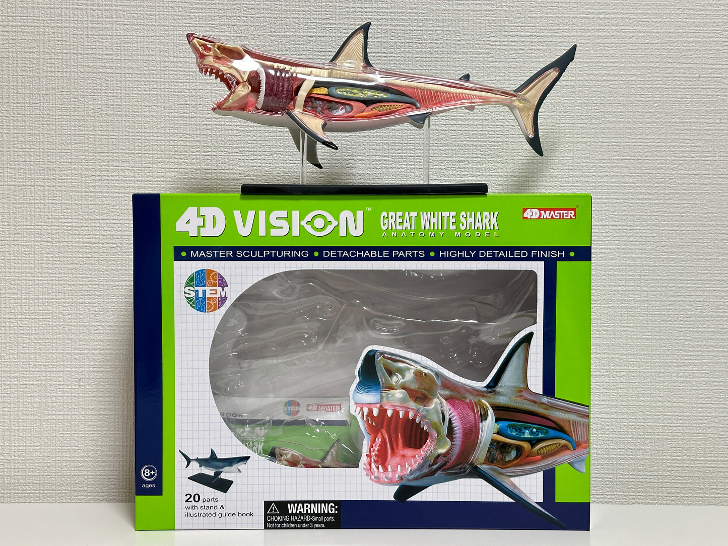 4D Master 622028 Great White Shark ホホジロザメ 解剖モデル