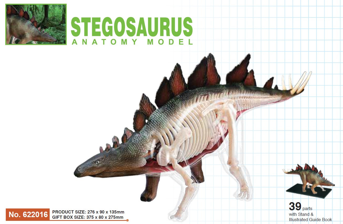 4D Master 622016 Stegosaurus ステゴサウルス 解剖モデル