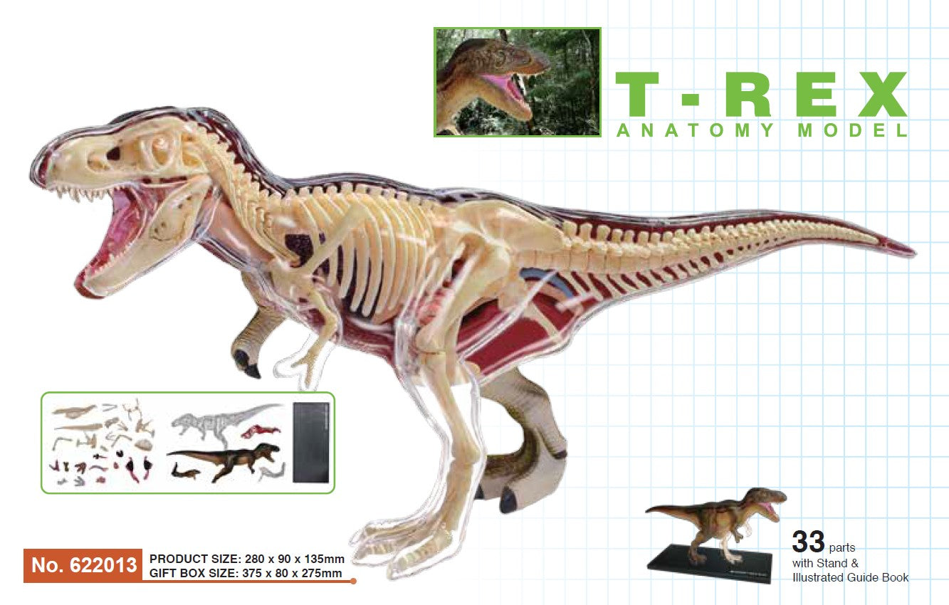 4D Master 622013 T-Rex 解剖モデル
