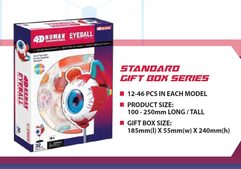 4D Master 626006 Eyeball 眼球 人体解剖モデル 1:4