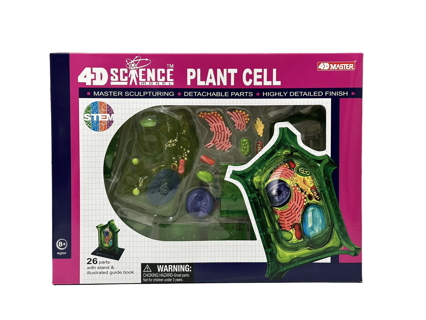 4D Master 624002 Plant Cell 植物細胞モデル