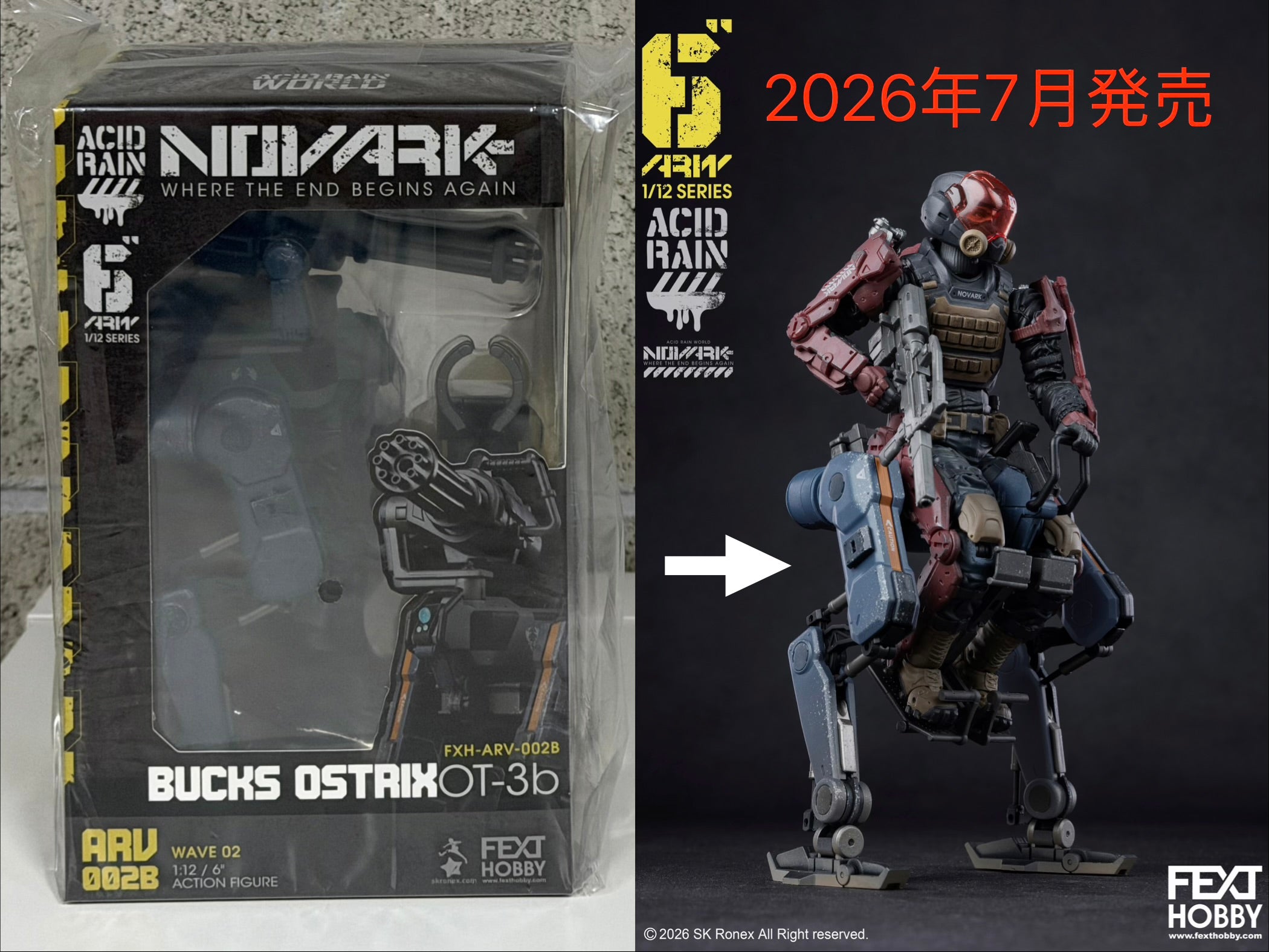 New Arrivals – 木漏れ日 Komorebi
