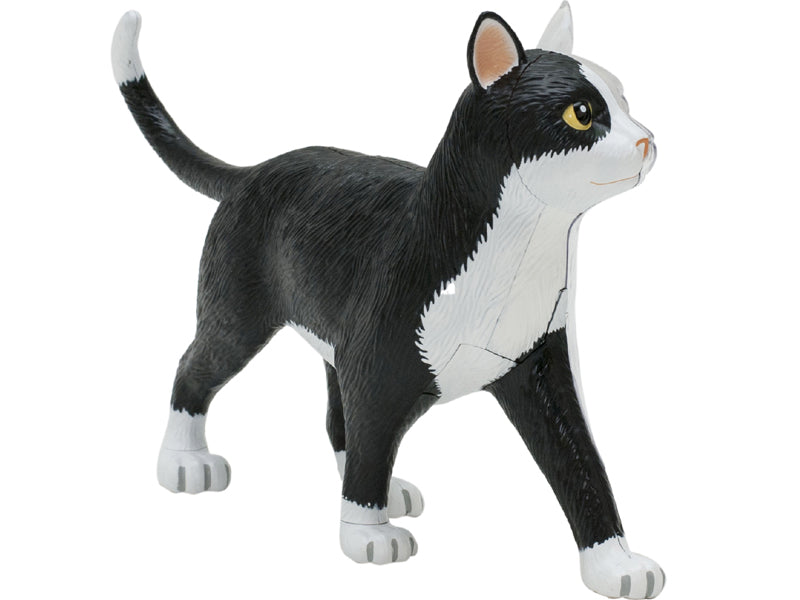 4D Master 622004 Black and White Cat 白黒猫 解剖モデル